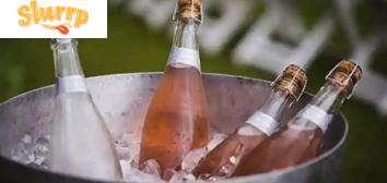 Women’s Day 2026: Wines, Gins & Vodkas She’ll Love